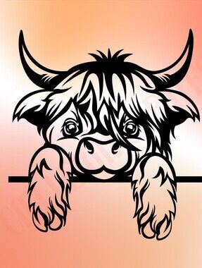*2 For $20* Cute Highland Cow  Handcrafted Vinyl Decal Sticker